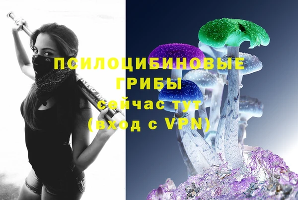 круглые Алексин