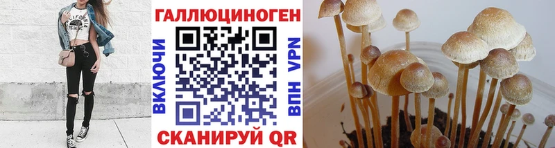 Псилоцибиновые грибы мицелий  Ветлуга 